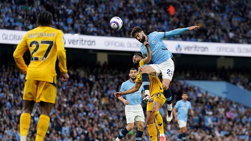 Wolves đã có nhiều cơ hội trong các đường phản công Wolves đã có nhiều cơ hội trong các đường phản công