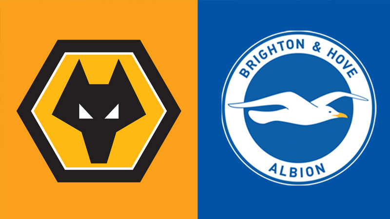 Wolves đang có phong độ thăng hoa Wolves đang có phong độ thăng hoa
