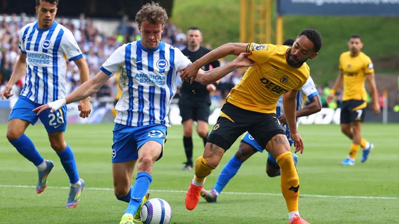 Brighton đang sở hữu một đội hình trẻ tiềm năng Brighton đang sở hữu một đội hình trẻ tiềm năng