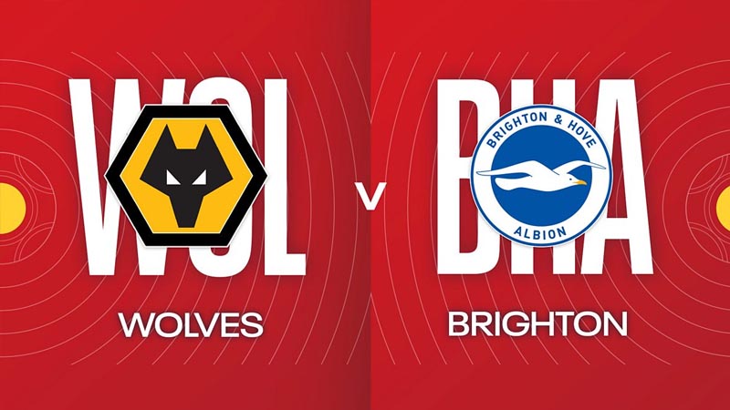 Wolves đang được tin tưởng sẽ giành chiến ở trận bán kết lượt đi