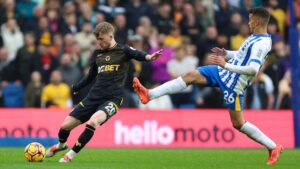 Kinh nghiệm soi kèo Wolves vs Brighton, 21h00 ngày 10/5/2025
