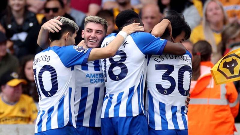 Lịch sử đối đầu cặp trận Wolves và Brighton